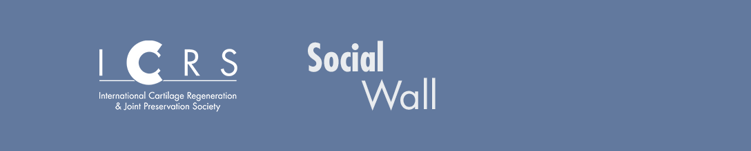 ICRS Social Wall